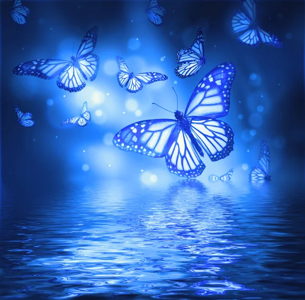 Flight of butterflies — Stock Photo, Image