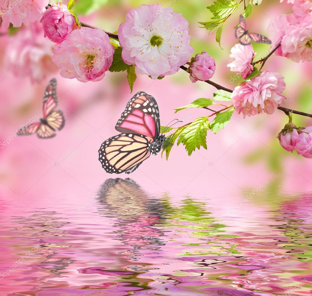Featured image of post How to Make Sakura Cherry Blossom Butterfly
