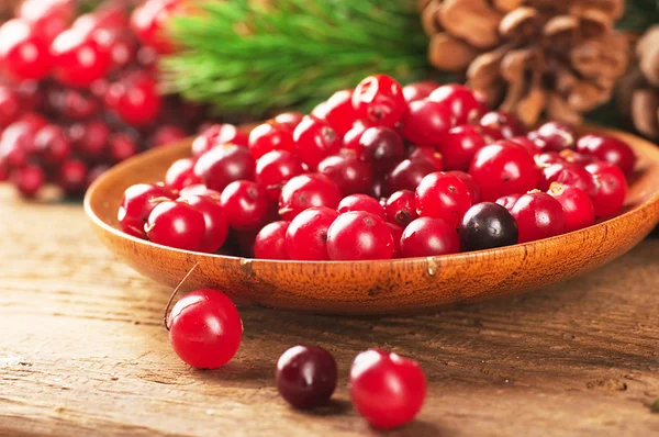 Christmas berries and spruce branch with cones — Stock Photo, Image