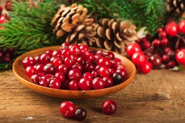 Christmas berries and spruce branch with cones — Stock Photo, Image