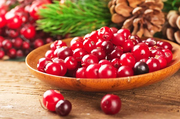 Christmas berries and spruce branch with cones — Stock Photo, Image