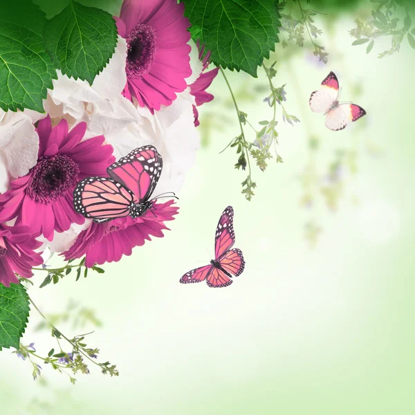 Gerbera daisies and butterfly — Stock Photo, Image