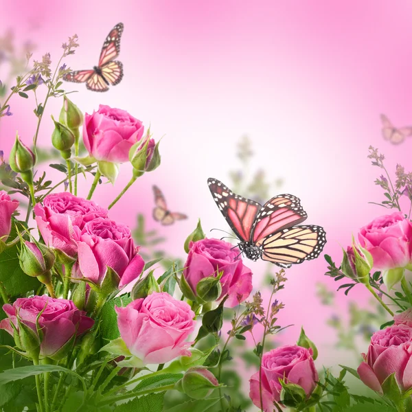 Zarte Rosen und Schmetterling Stockfoto