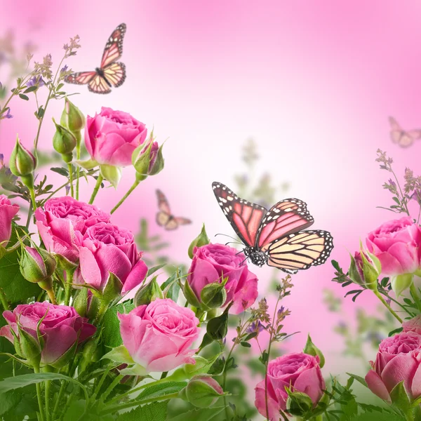 Delicate roses and butterfly Royalty Free Stock Images