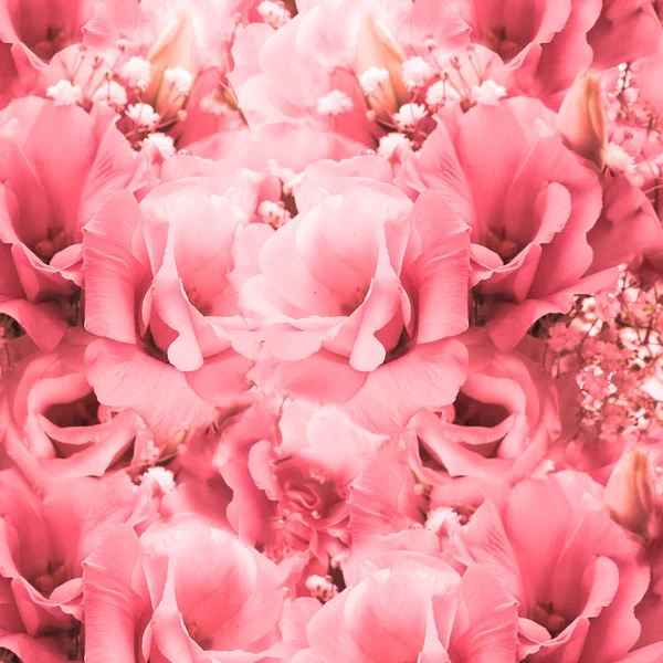 Аромат розовых роз, цветочный фон — стоковое фото