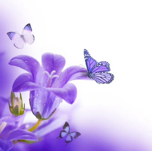 Flowers on a white background, dark blue hand bells and butterfly — Stock Photo, Image