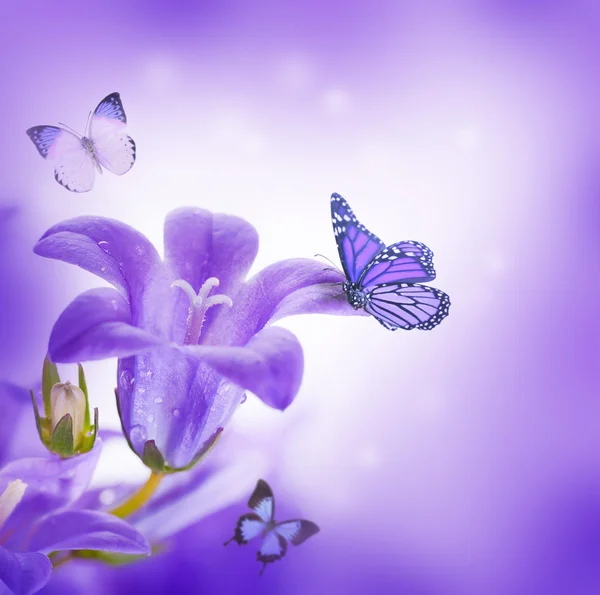 Çiçekler beyaz bir arka plan, koyu mavi el çan ve kelebek — Stok fotoğraf