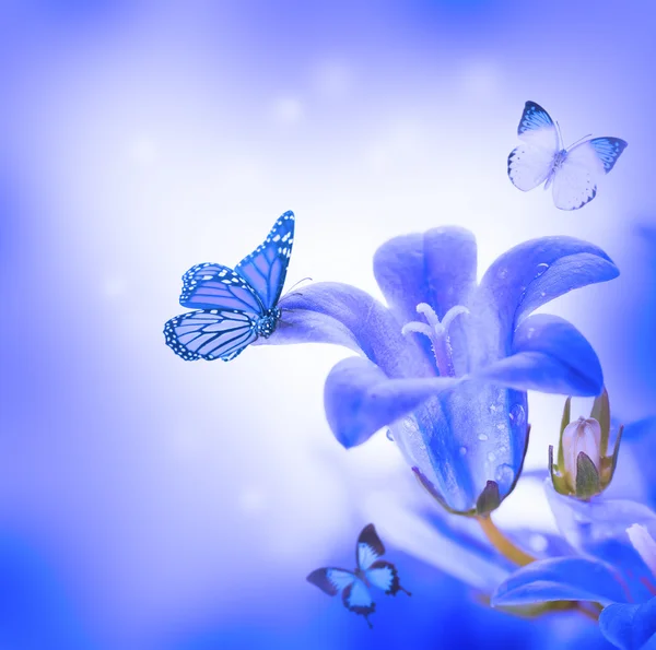 Flowers on a white background, dark blue hand bells and butterfly — Stock Photo, Image