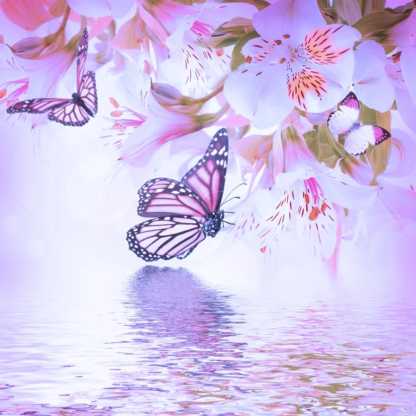 Beautiful flower and butterfly, blured and colored — Stock Photo, Image