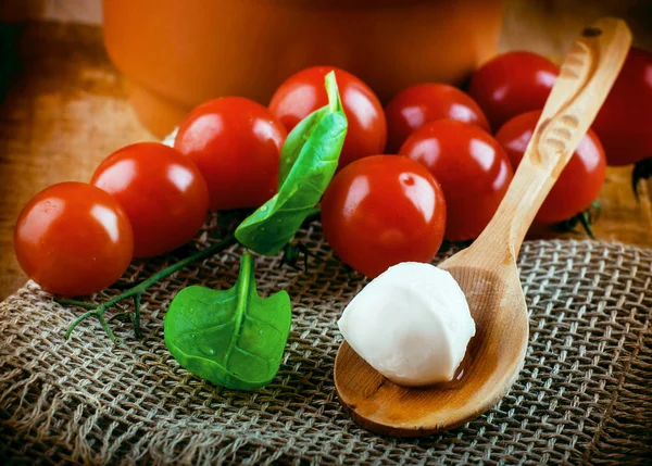 Mozzarella, tomatoes and bread — Stock Photo, Image