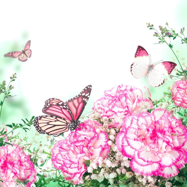 Strauss aus rosa Rosen und Schmetterling — Stockfoto