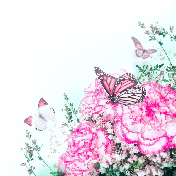 Bukiet róż i motyl — Zdjęcie stockowe
