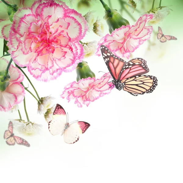 Ramo de rosas rosadas y mariposas —  Fotos de Stock