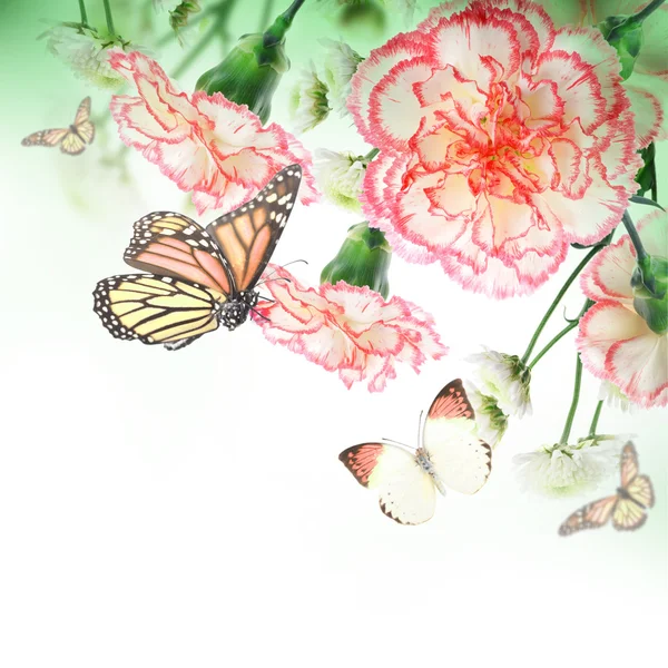 Strauß von orangen Rosen und Schmetterling — Stockfoto
