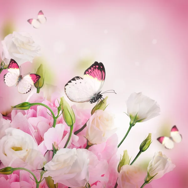 Ramo de rosas rosadas y mariposas — Foto de Stock