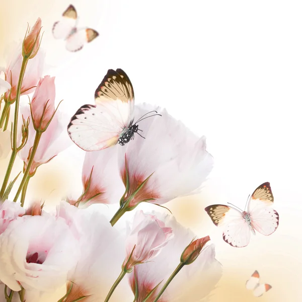 Kelebek ve beyaz gül buketi — Stok fotoğraf