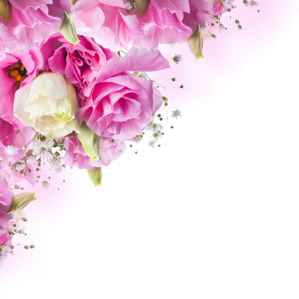 束粉色玫瑰和蝴蝶 — 图库照片