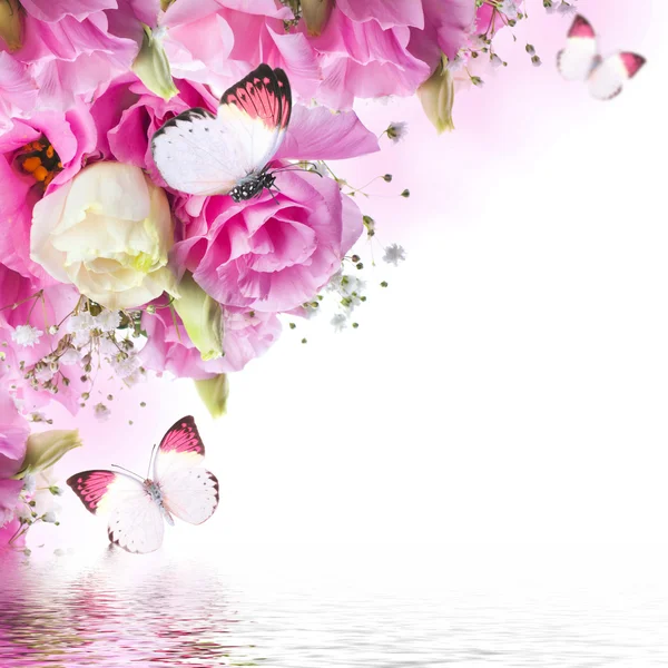 Ramo de rosas rosadas y mariposas — Foto de Stock