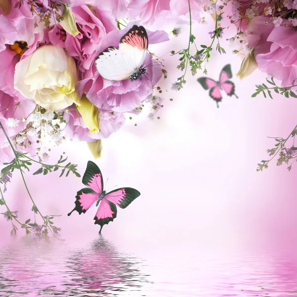 Bouquet of pink roses and butterfly — Stock Photo, Image