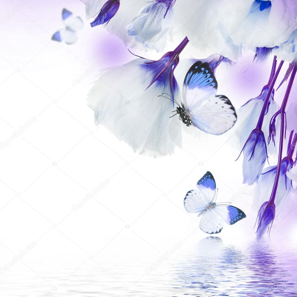 Bouquet av blå roser og sommerfugler – stockfoto © seqoya #35741331, image size:1024x1024