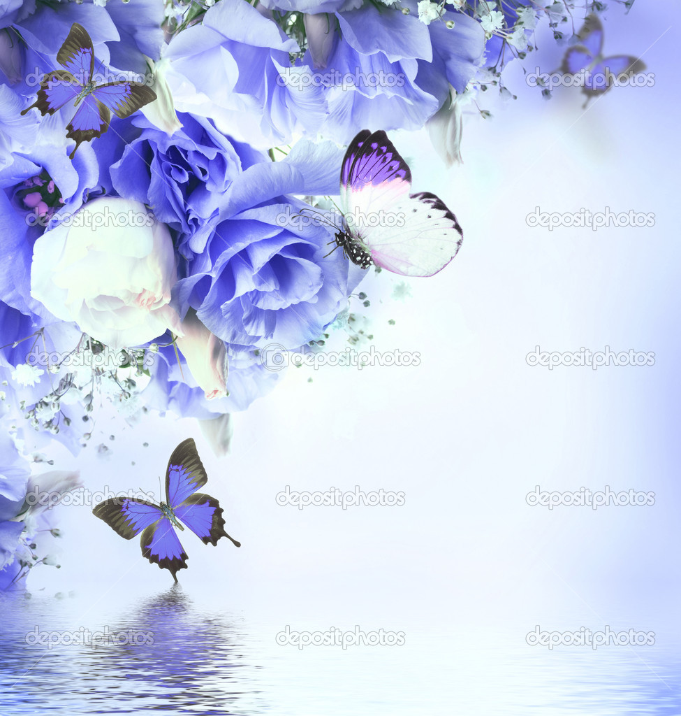 Bouquet av blå roser og sommerfugler – stockfoto © seqoya #35741457, image size:975x1024