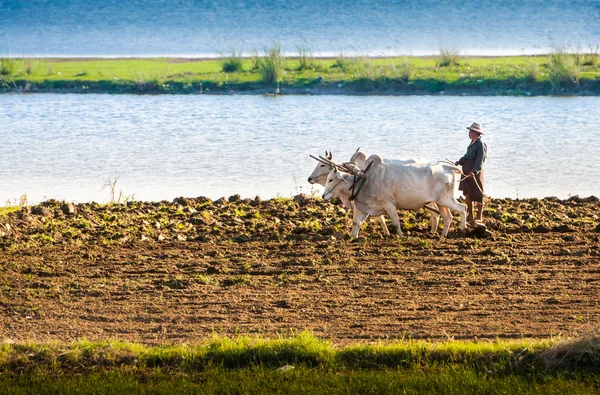 Il contadino aratura la terra metodo antico — Foto Stock