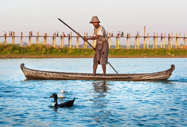 Farmers catch fish ancient way networks. — Stock Photo, Image