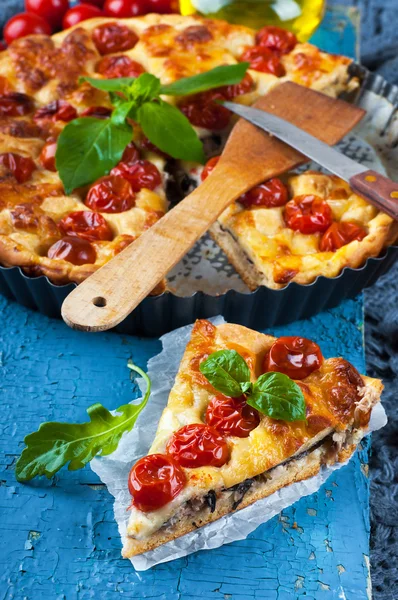 Pie with mozzarella, chicken and tomatoes — Stock Photo, Image