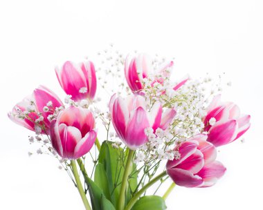 Lale çiçek arka plan.