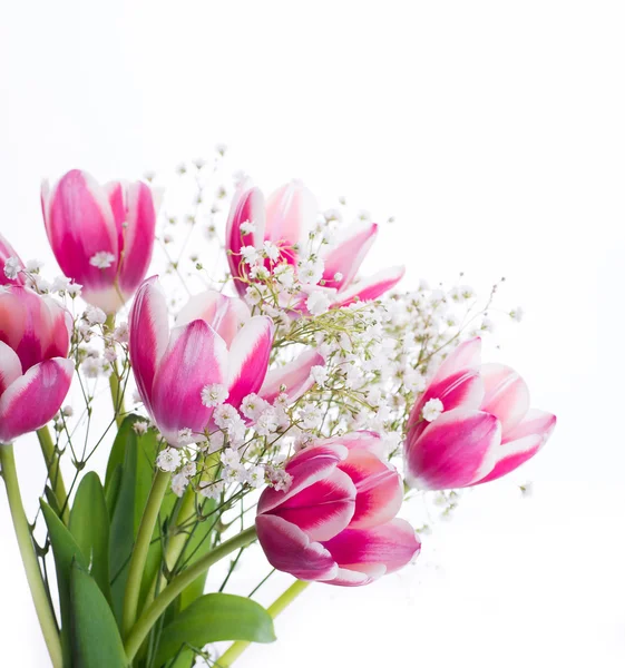 Tulipes fond floral . — Photo