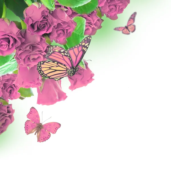 Цветочный фон и бабочка — стоковое фото