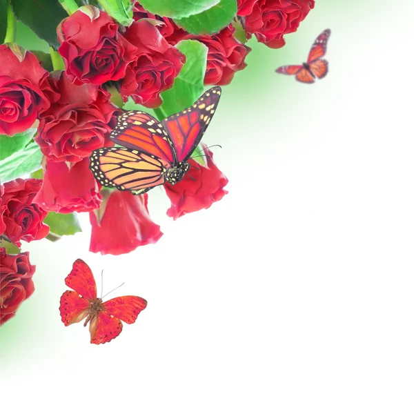 Tle kwiatów i motyli — Zdjęcie stockowe