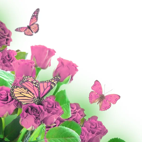 Floral background and butterfly — Stock Photo, Image