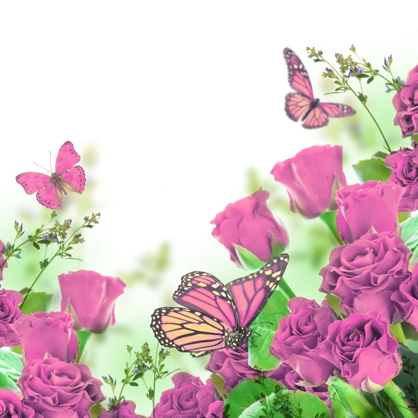 Fondo floral y mariposa — Foto de Stock