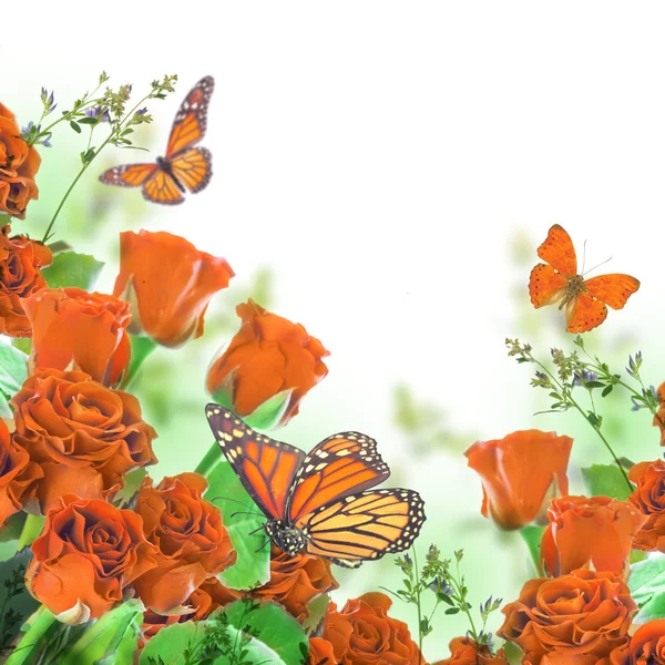 Floral background and butterfly — Stock Photo, Image