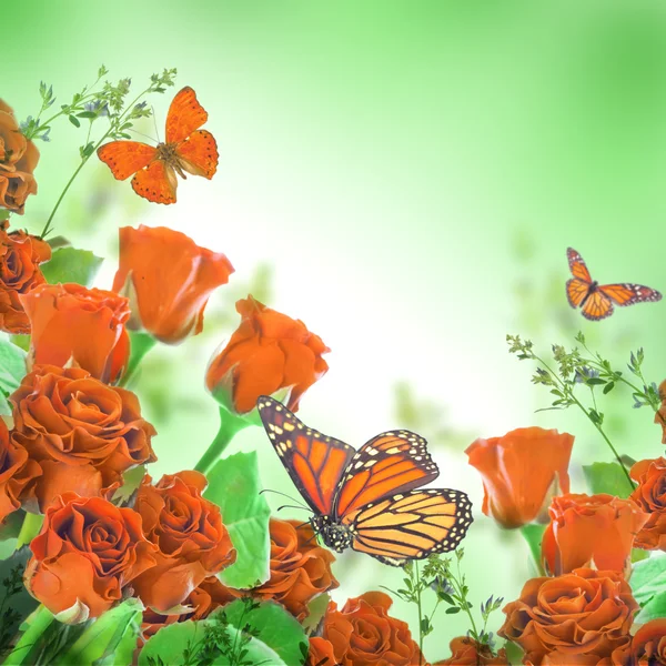 Blumen Hintergrund und Schmetterling — Stockfoto