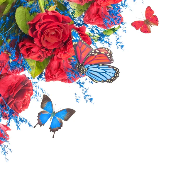 Kelebek ve çiçek arka plan — Stok fotoğraf