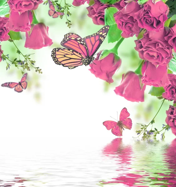 Blumen Hintergrund und Schmetterling — Stockfoto