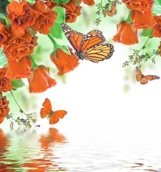 Fundo floral e borboleta — Fotografia de Stock