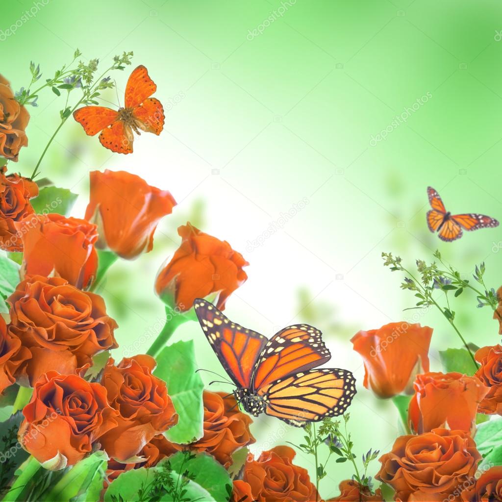 Floral background and butterfly