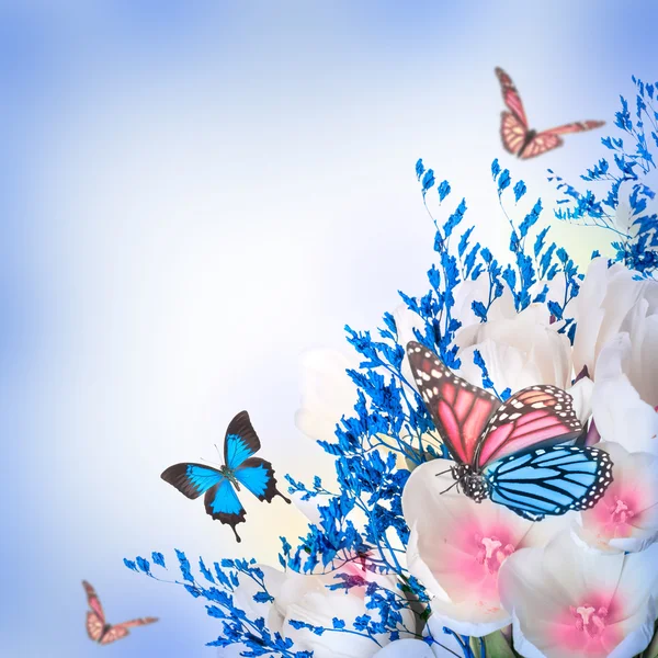 Białe tulipany z blue grass i motyl — Zdjęcie stockowe
