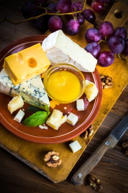 farklı peynir çeşitleri.