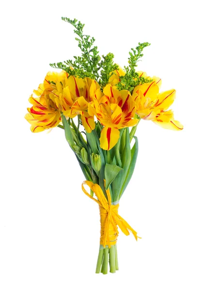 Gelbe Tulpen — Stockfoto