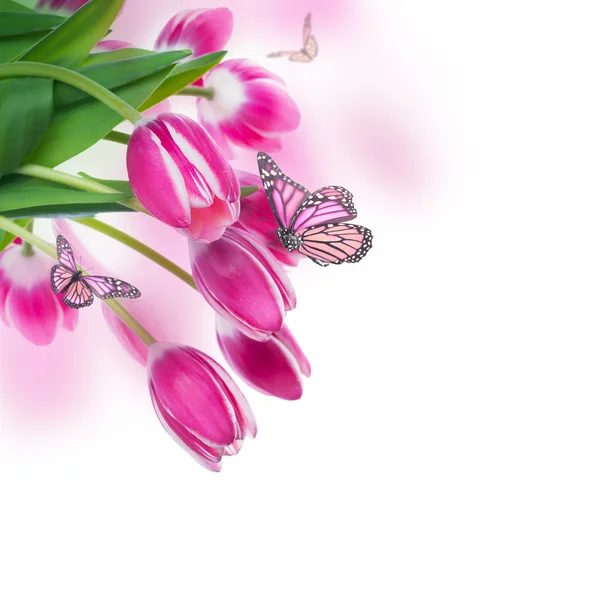 Strauß rosa Tulpen — Stockfoto