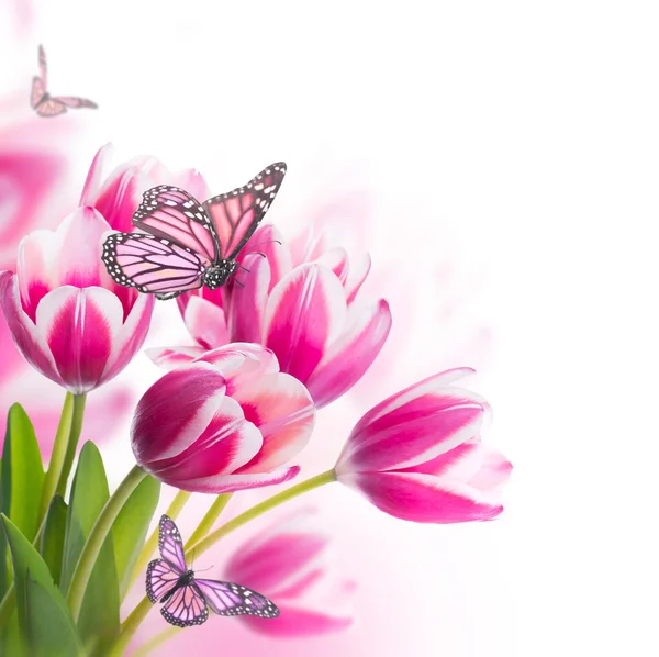 Boeket roze tulpen — Stockfoto