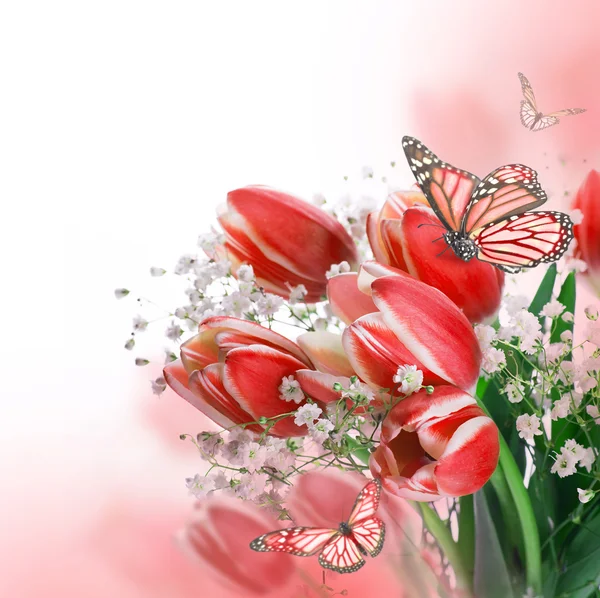 Red tulips — Stock Photo, Image