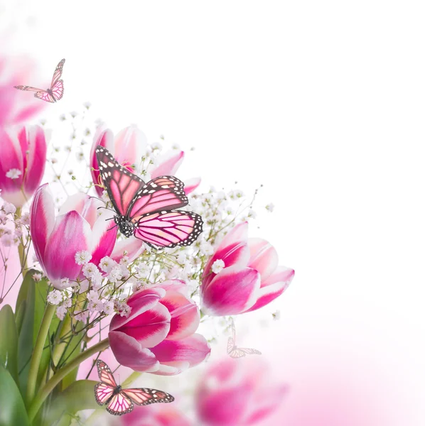 Strauß rosa Tulpen — Stockfoto