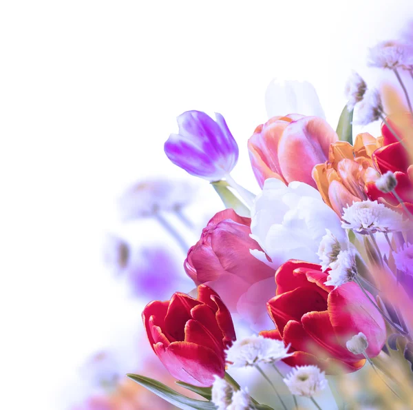 Bouquet de tulipes colorées — Photo