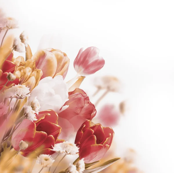 Bouquet di tulipani rossi — Foto Stock