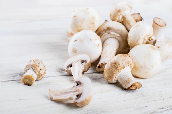 Champignons freschi — Foto Stock